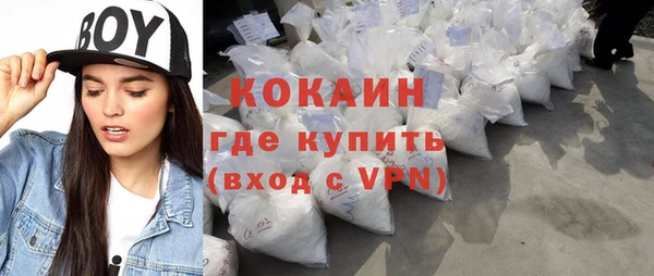 гашик Михайлов