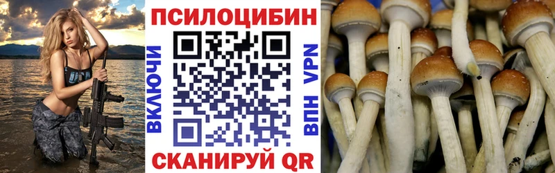 Галлюциногенные грибы Psilocybine cubensis  Купить закладки  Ессентуки 